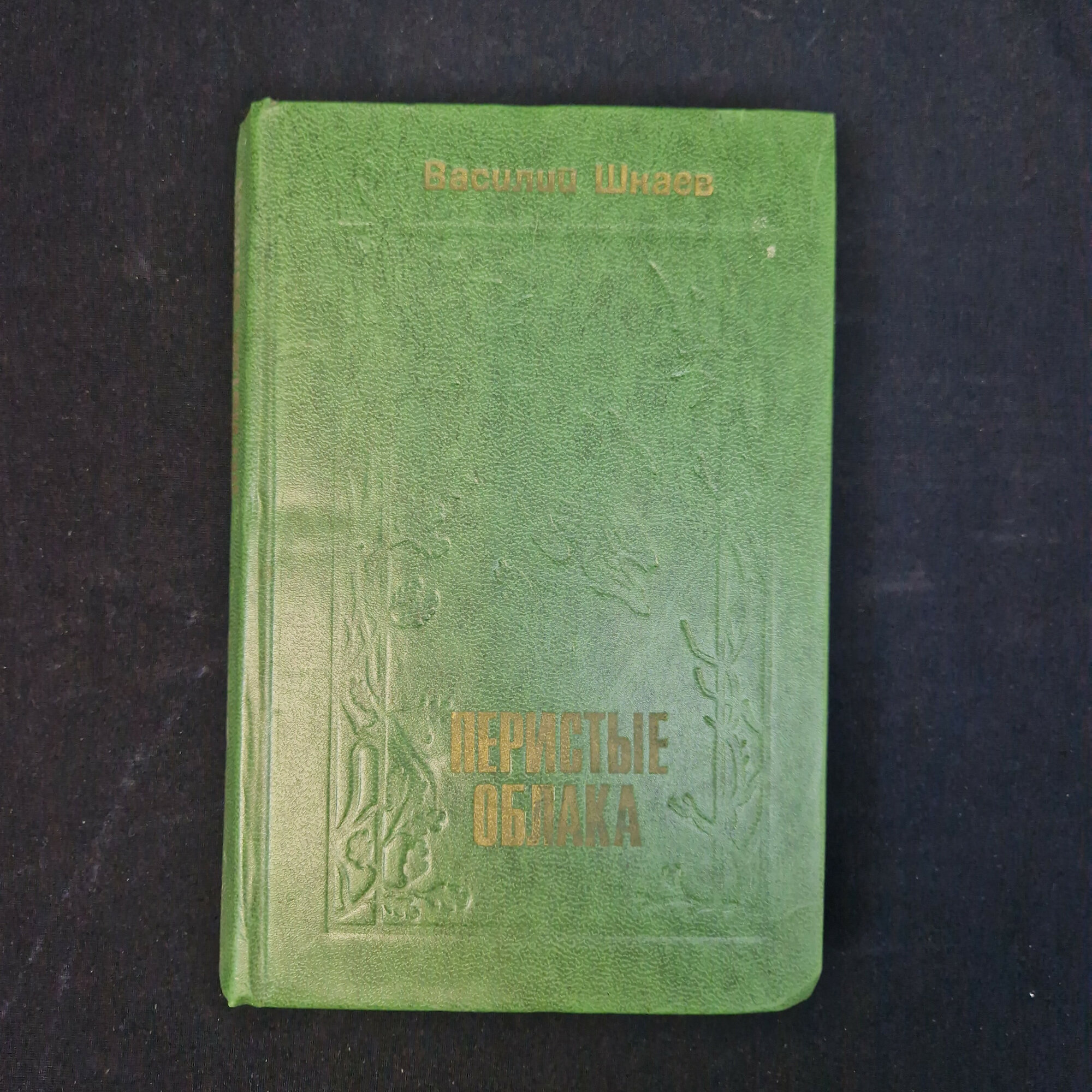 Василий Шнеев. Перистые облака. Книга. Повесть