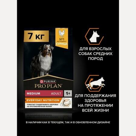 Изображение товара PRO PLAN EVERYDAY NUTRITION 7 кг сухой корм для взрослых собак средних пород, с высоким содержанием курицы
