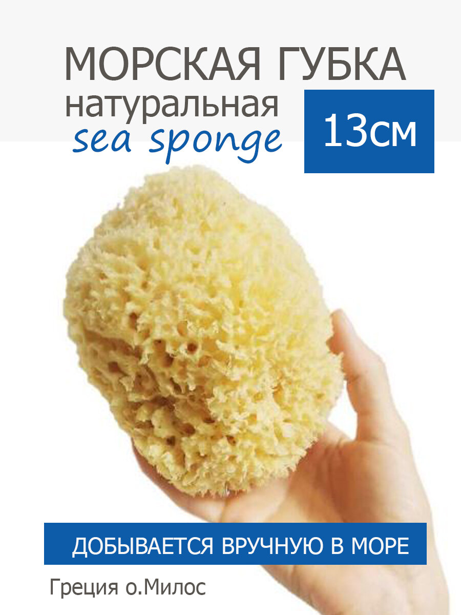 Губка морская натуральная Milos, HONEYCOMB, 13-14 см Греция (о. Милос)