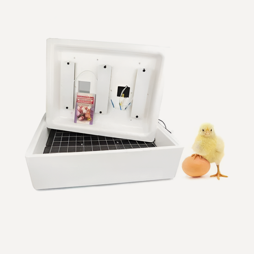 Изображение товара Инкубатор Несушка БИ-2 на 77 яиц (н/н 76), 77 яиц, 220/12В, автоматический переворот, аналоговый терморегулятор с цифровым индикатором