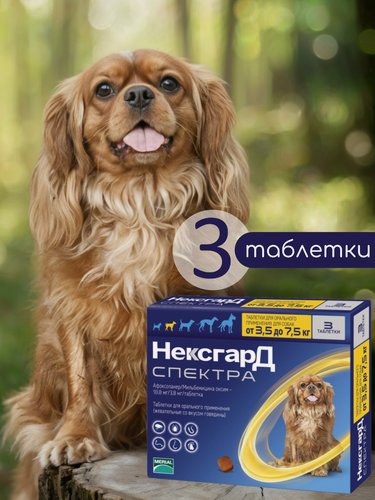 Изображение товара Нексгард Спектра S жевательная таблетка для собак весом 3,5-7,5 кг
