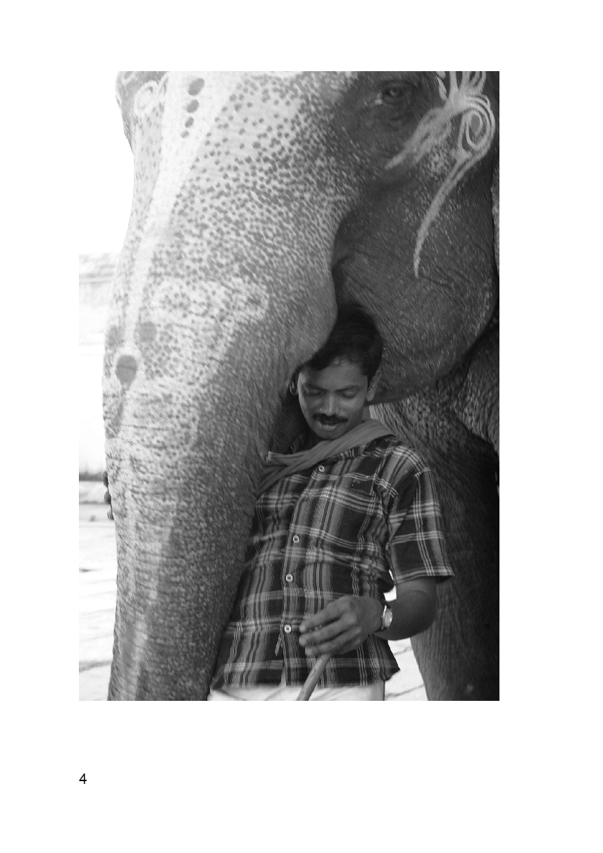 Южная Индия — фото 1