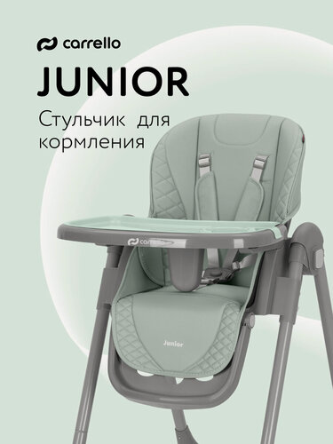 Изображение товара Стульчик для кормления Carrello Junior, складной, для детей от 6 месяцев, зеленый