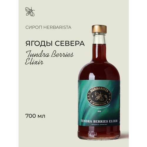 фото Сироп для кофе и коктейлей, десертов и выпечки herbarista, северные ягоды tundra berries elixir, 700 мл