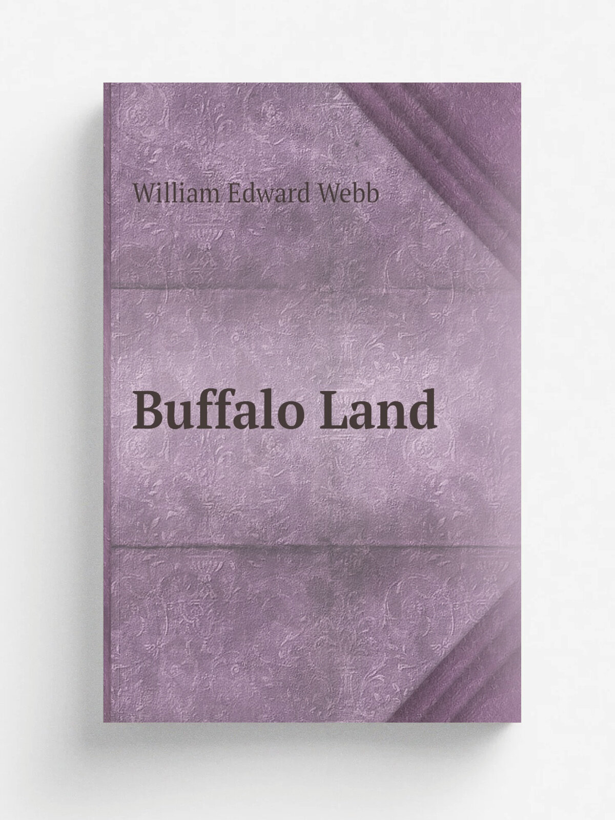 Buffalo Land | William Edward Webb | 1873 | E. Hannaford & company | Репринт