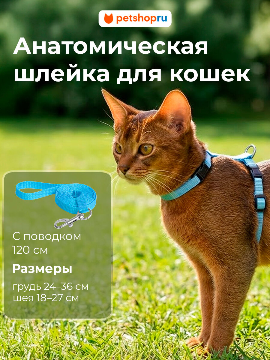 PETSHOP Шлейка с поводком для кошек "Мяу", 24-36 см, голубая