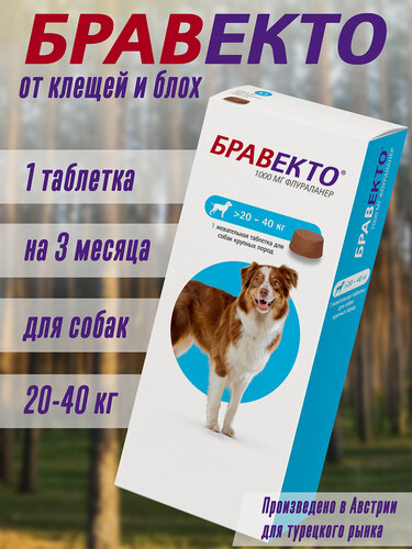 Изображение товара Бравекто для собак 20-40кг 1000мг (жевательная таблетка 1 шт)