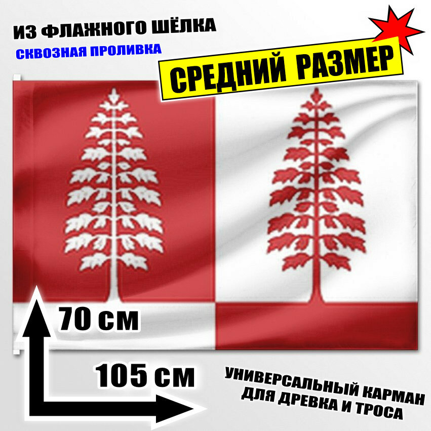 Флаг средний Красноборского района 105x70 см