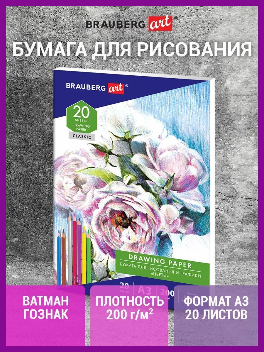 Бумага для рисования и графики в папке большая А3, 20 л, 200 г/м2, ватман гознак, BRAUBERG ART CLASSIC, 114491