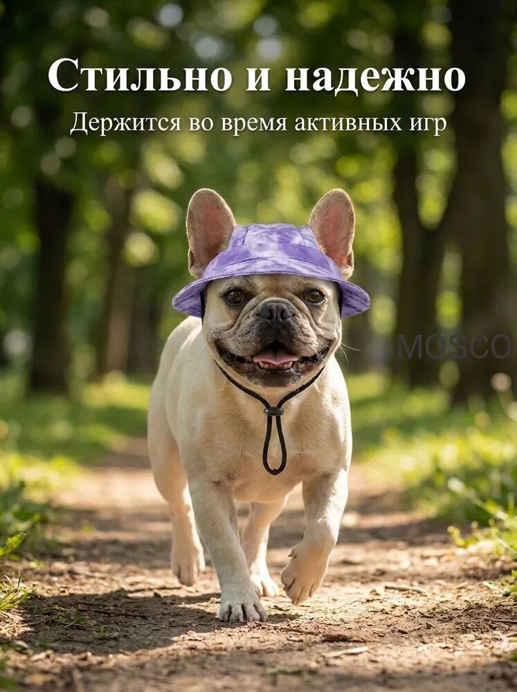 Фиолетовая шапочка для питомца с ушками M