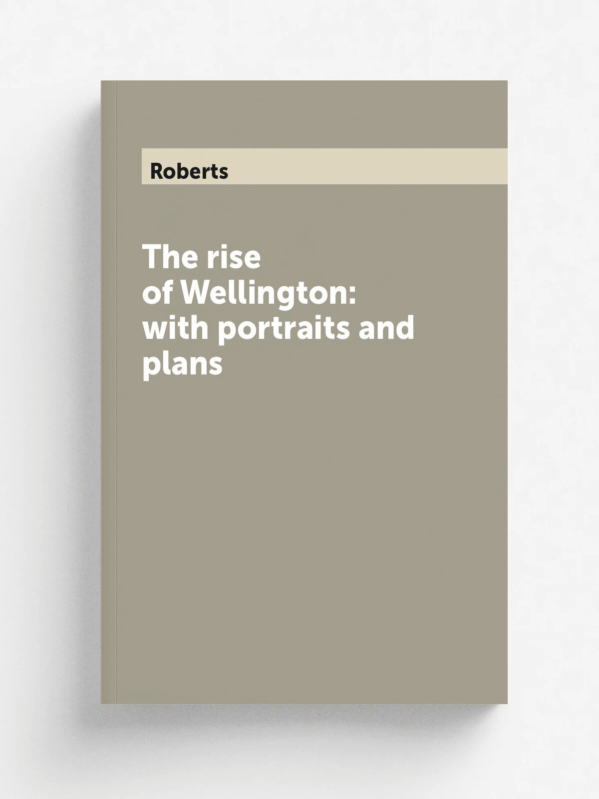The rise of Wellington: with portraits and plans