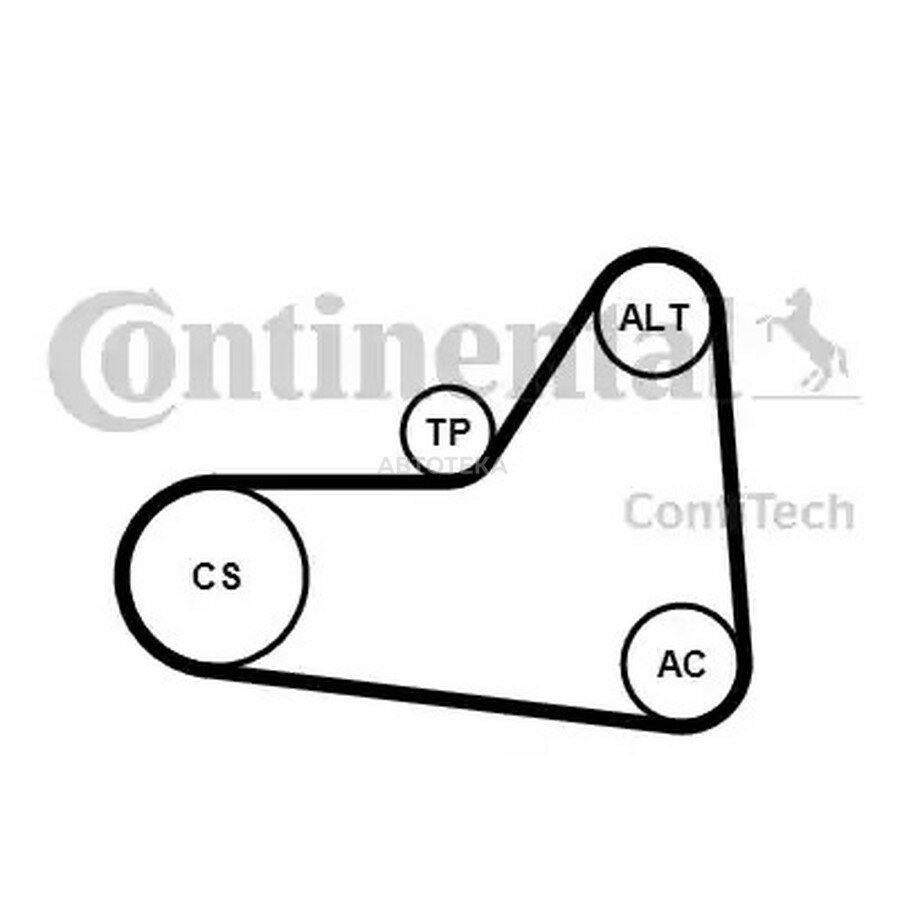Комплект поликлинового ремня VAG CADDY/PASSAT/TIGUAN/Q3 04-/10- 2.0TDI/1.6TDI (ремень+ролик) CONTITECH 6PK1070K1