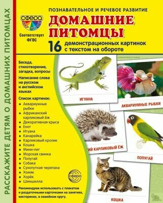 Домашние питомцы. 16 демонстрационных картинок с текстом в папке на обороте (173х220 мм)