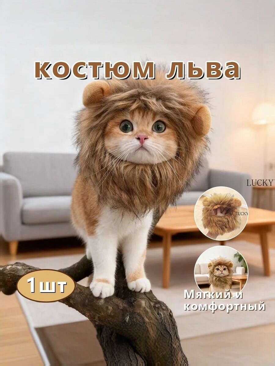 Одежда для животных