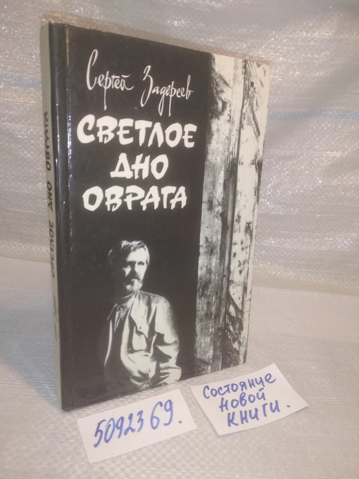 Сергей Задереев , Светлое дно оврага.