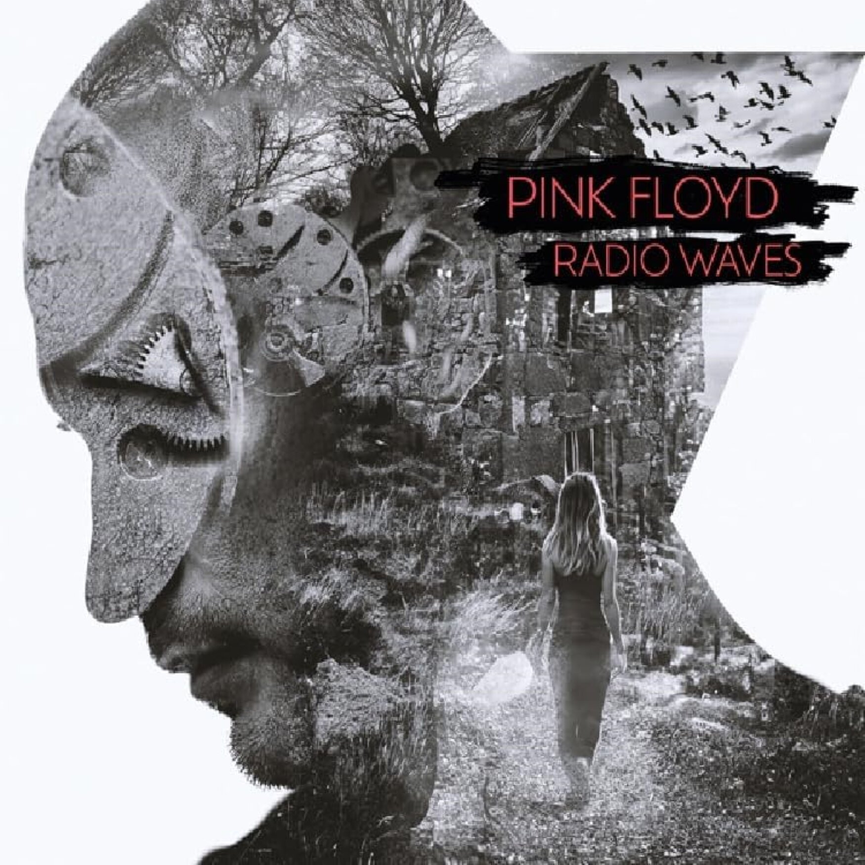 Компакт-диск Pink Floyd - Radio Waves (4CD)