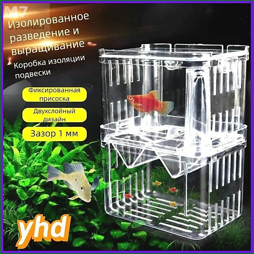 Эксклюзивный изолятор для ослабленных рыб и отсадник мальков