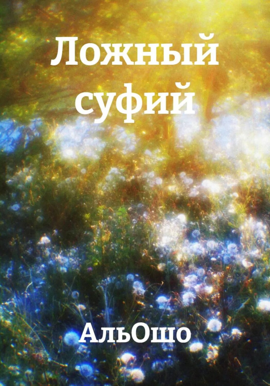 Ложный суфий [Цифровая книга]