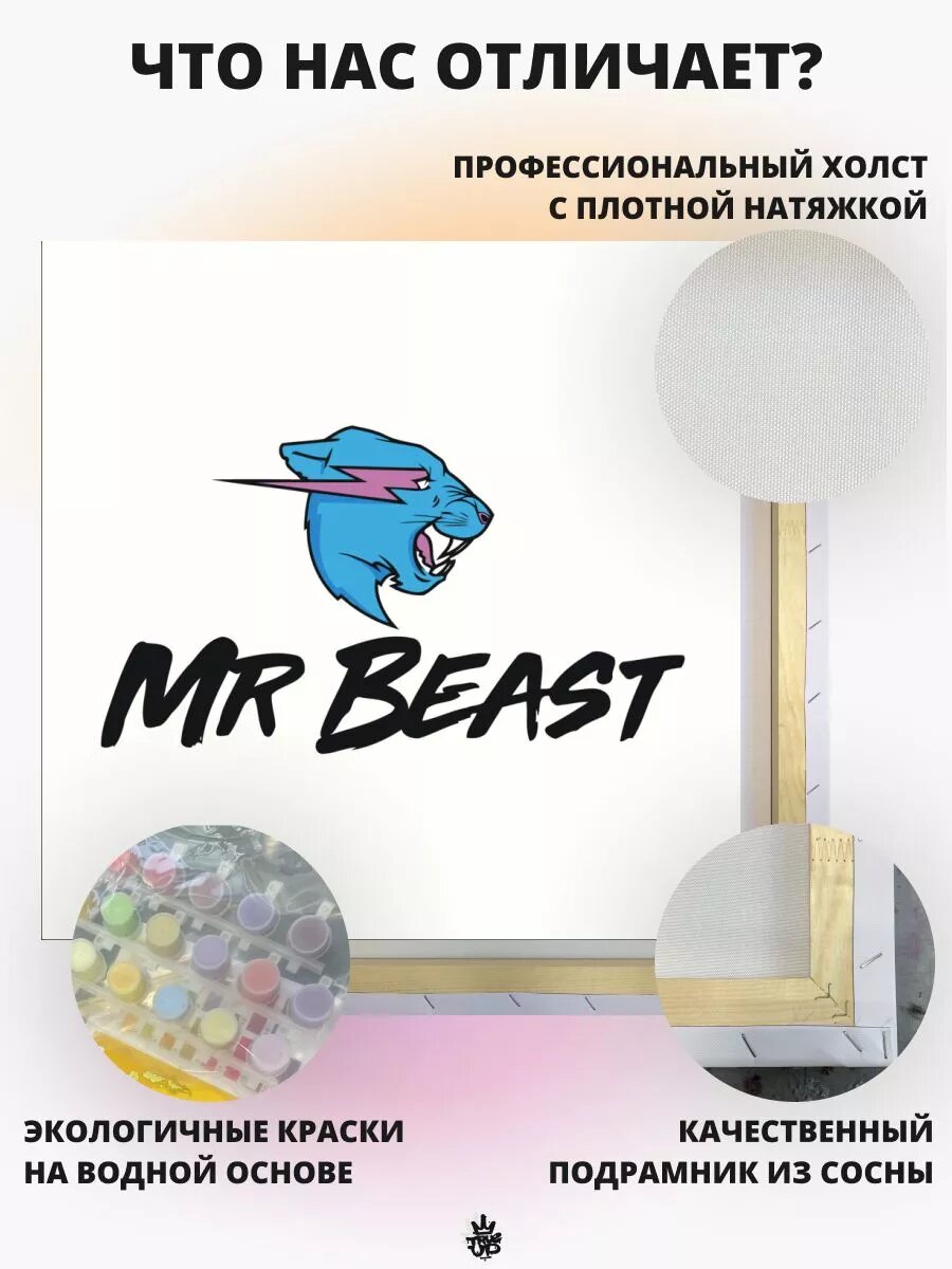 MR BEAST картина по номерам на холсте — фото 1