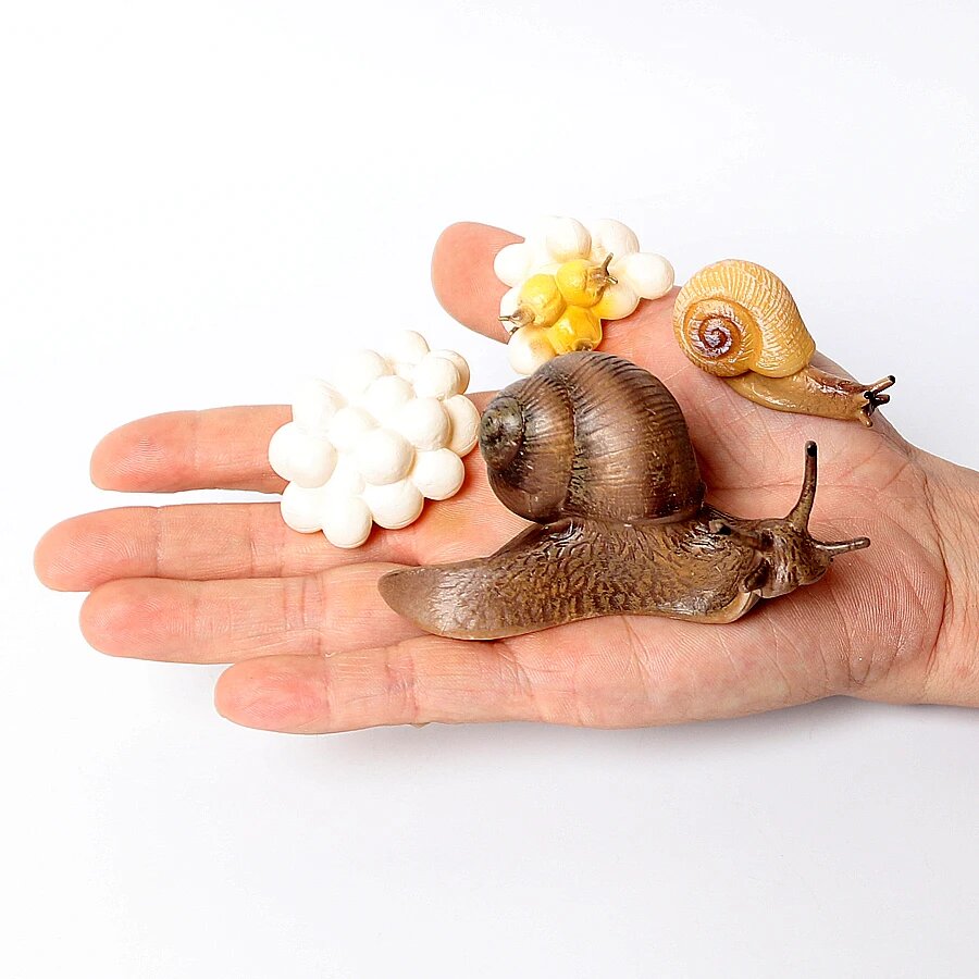 Фигурка улитки ONLYFIGURES, life cycle set A