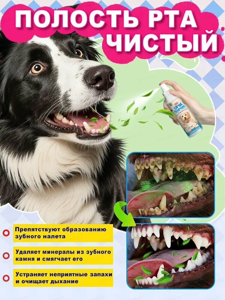 Спрей для домашних животных. Спрей для рта собак и кошек. освежает дыхание, удаляет бактерии с зубного налета. Удаление зубного камня, .30 мл