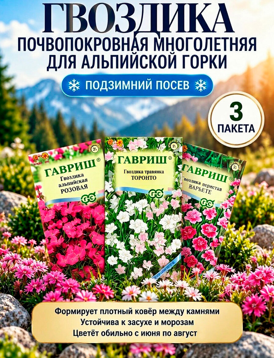 Гвоздика многолетняя семена для альпийской горки 3 пакета