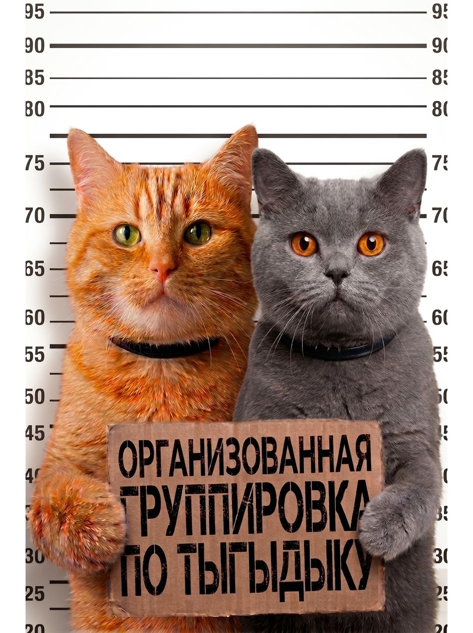 Магнит на холодильник "Два кота преступника с табличкой Организованная группировка по тыгыдыку" - прикольный сувенир с юмором, с кошками