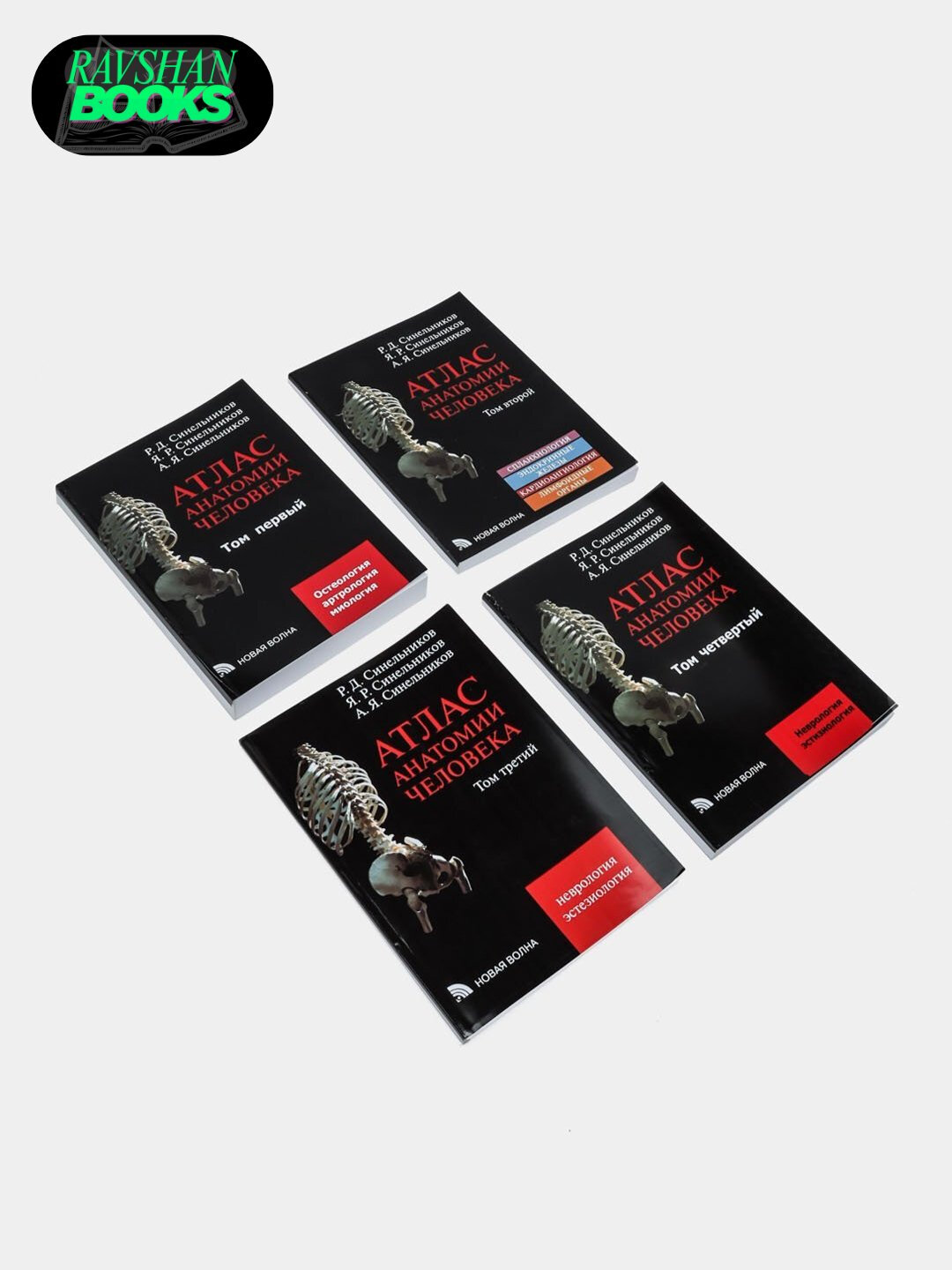 Атлас анатомии человека на русском языке, 1, 2, 3, 4 части