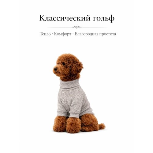 фото Водолазка/свитер классический, одежда для собак в коричневом цвете, размер l la brioche