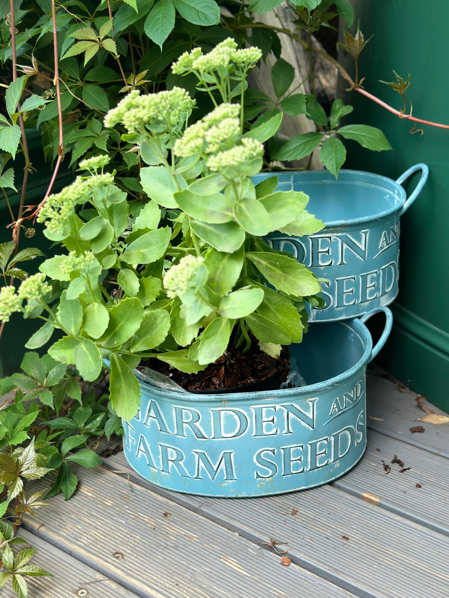 Поддон для цветов декоративный в стиле Прованс для любитей стиля Шебби шик в нежно-голубом цвете 35*26*23 см с двумя ручками