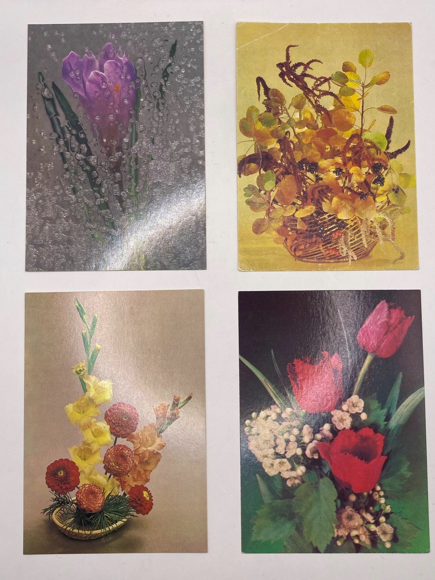Набор винтажных открыток "цветы". СССР. 4 шт. Размеры: 15х10.5 см.
