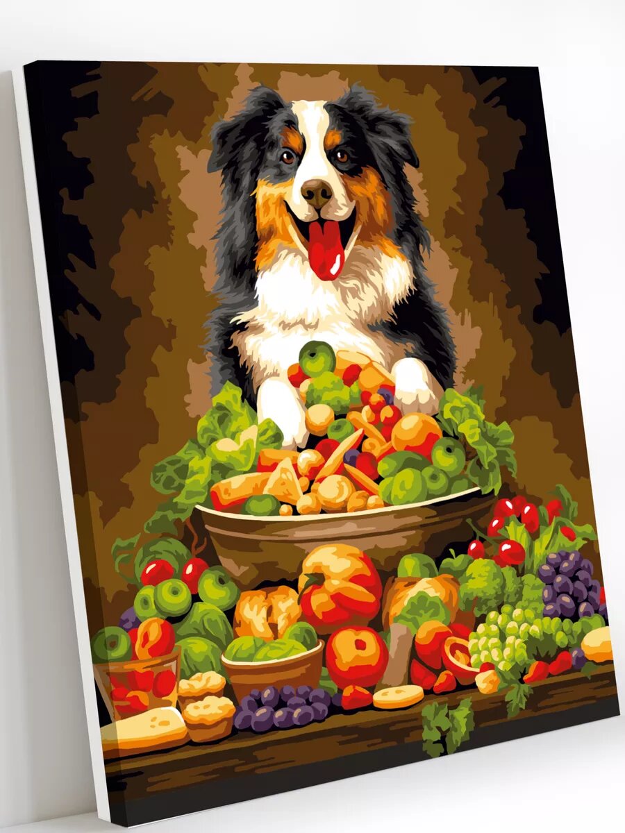 Картина по номерам на холсте с подрамником 40х50 см Бордер-колли