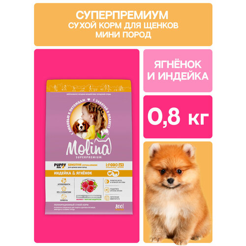фото Сухой корм для щенков и молодых собак мелких пород с индейкой и ягненком puppy & junior mini, 0,8 кг molina