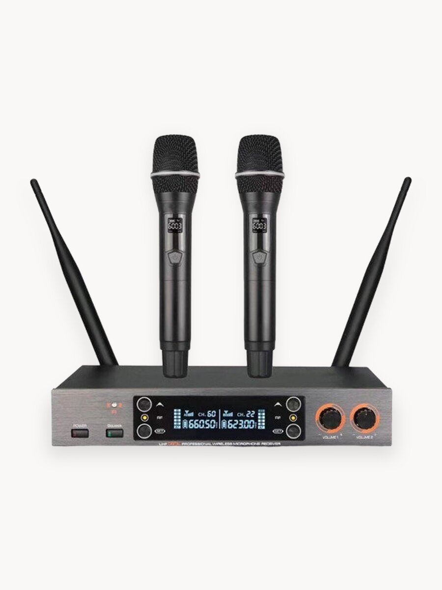 Радиосистема на два микрофона LAudio LS-201-2M