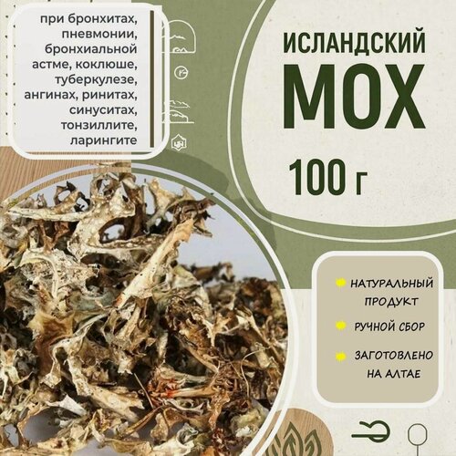 Изображение товара Исландский мох (цетрария), цельный, 100 г, для лечения кашля и ОРВИ, АлтайМир