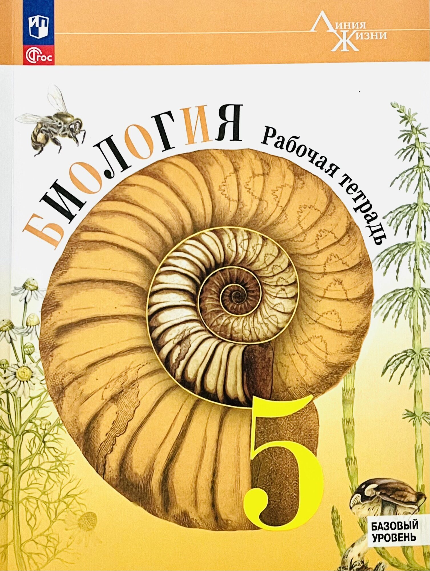Биология. Рабочая тетрадь 5 класс. Пасечник В. В. Просвещение. ФГОС