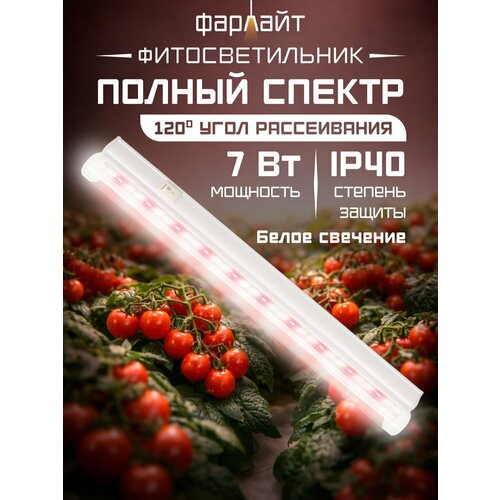 фото Фитолампа фарлайт спб, 7вт, 30см, полный спектр, для растений