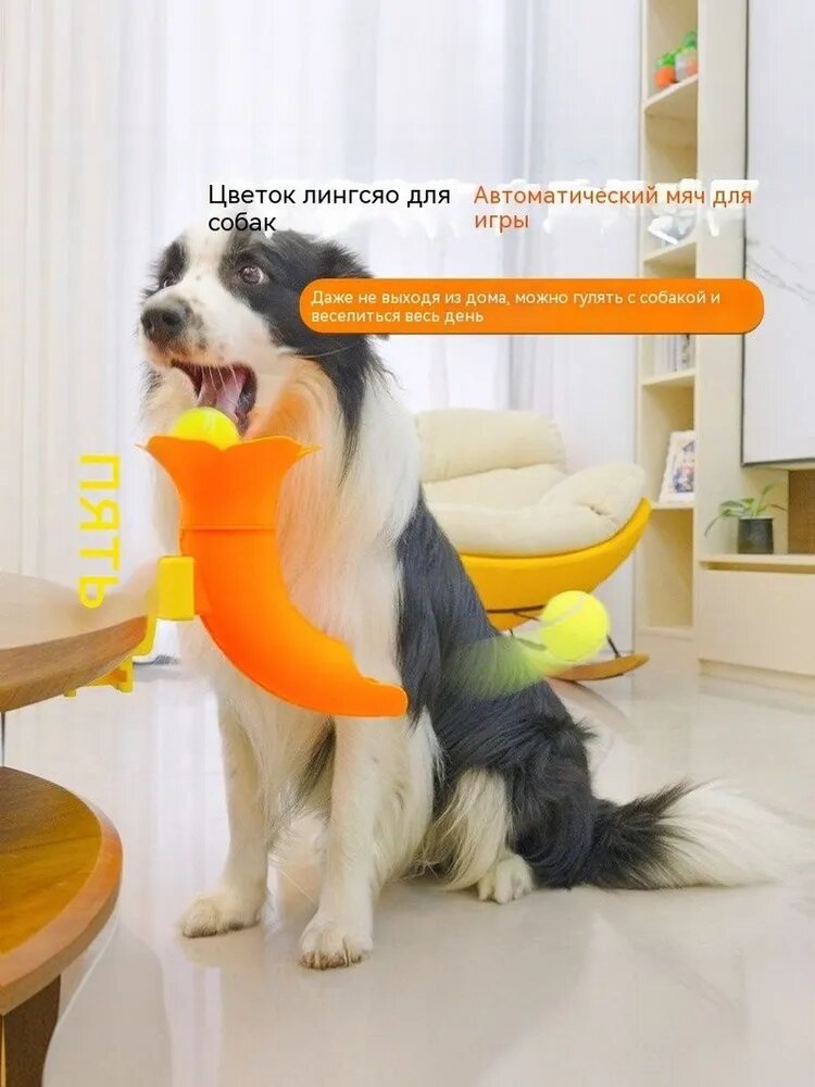 Устройство для подачи мяча для собак с самообслуживанием dog ball toy