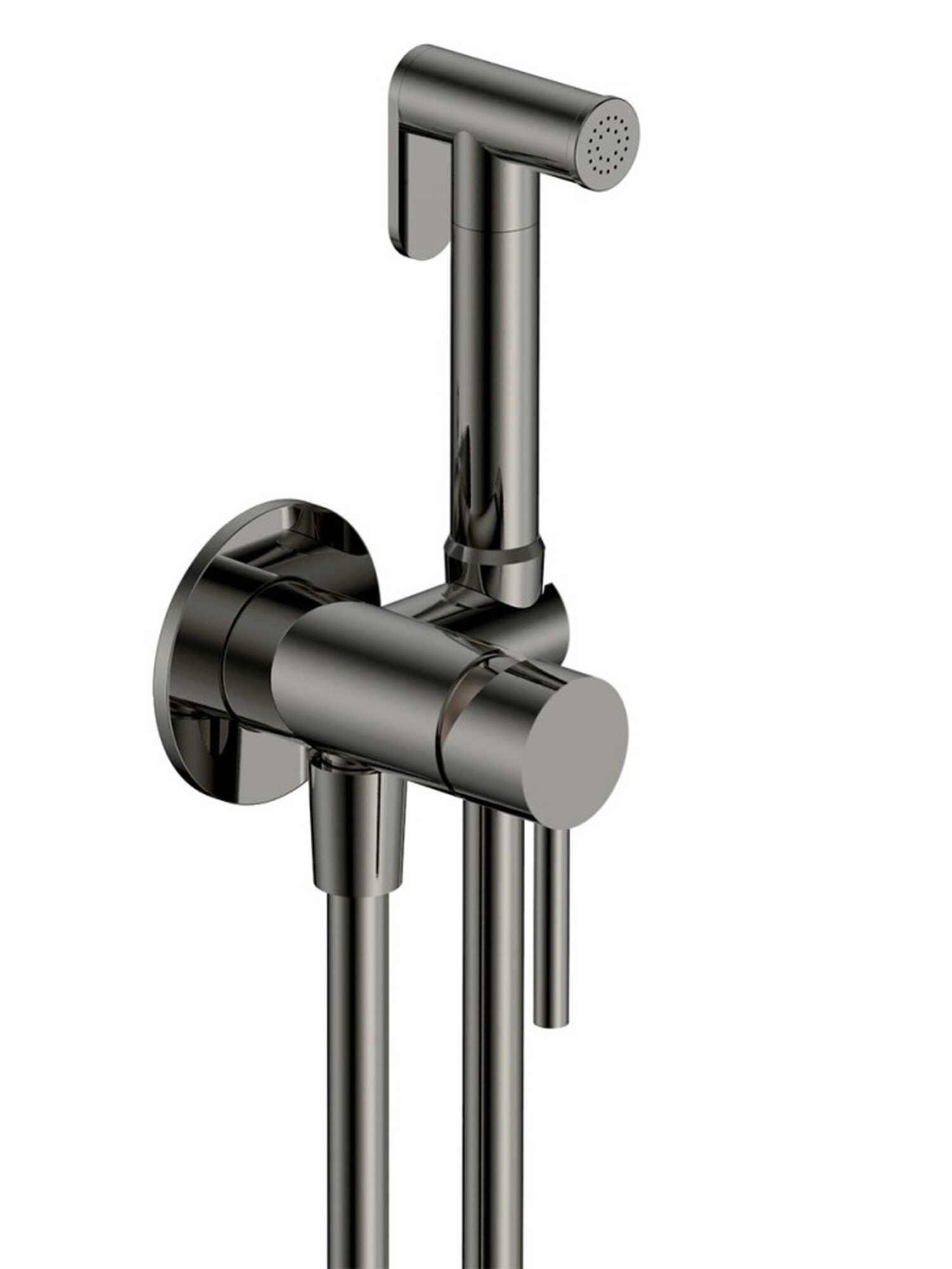 AQM6217GM Siena Готовый комплект гигиенического душа (скрытый монтаж, латунная лейка), Gun metal