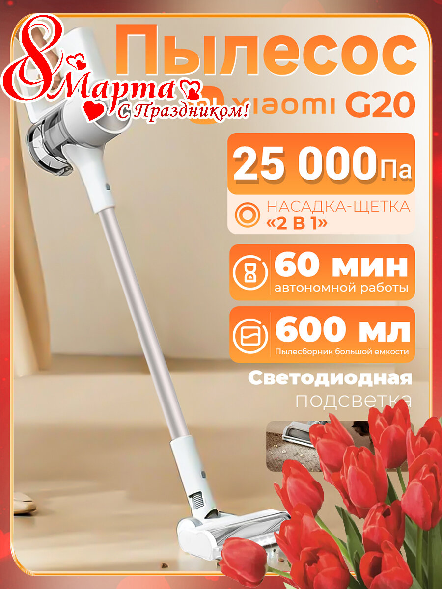 Пылесос вертикальный Xiaomi Vacuum Cleaner G20 EU D205 (BHR8831EU)