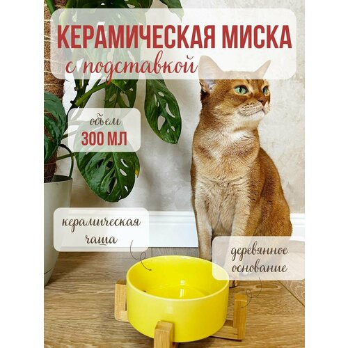 фото Миска qalla, керамика/бамбук, на подставке, для грызунов, кошек, собак, хорьков, жёлтая