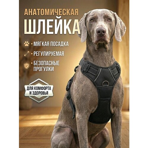 Шлейка прогулочная для собак средних и крупных пород / хаки (камуфляж) / размер XL