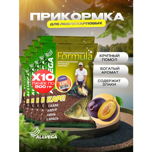 Прикормка для рыбалки ALLVEGA Formula карп слива 10 пачек по 0.9 кг