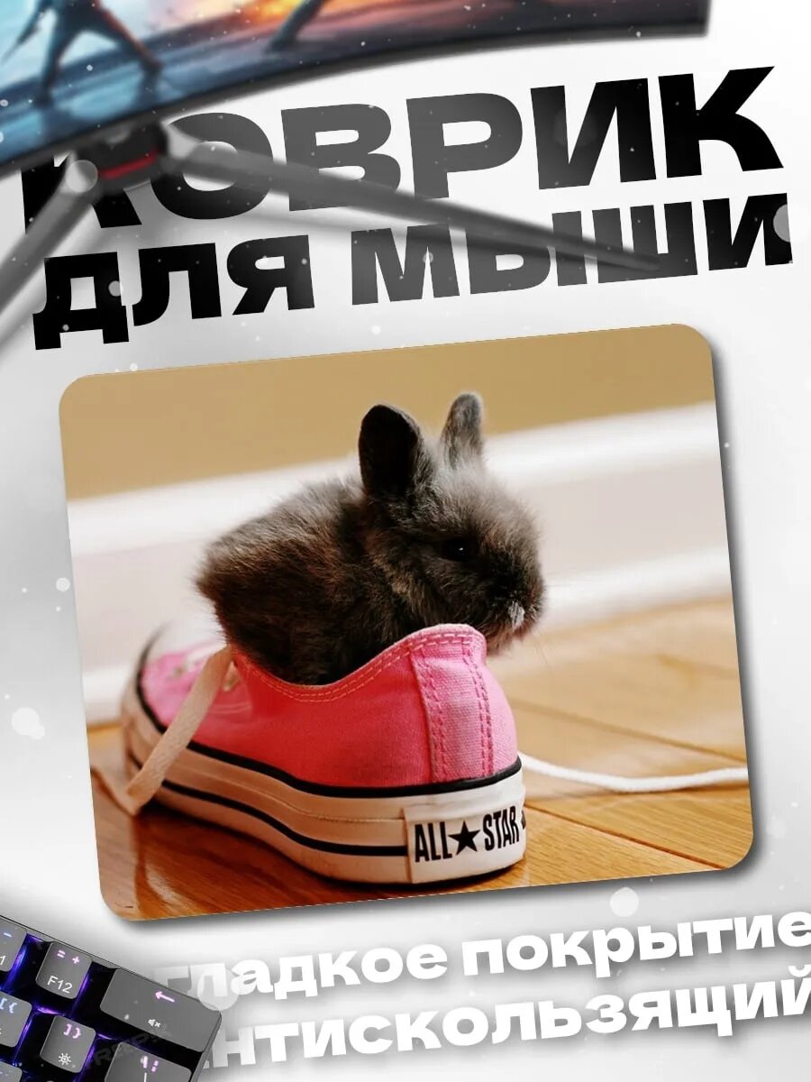 Коврик для мыши кролик в кеде