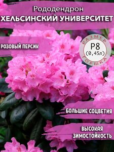Основная фотография от вендора