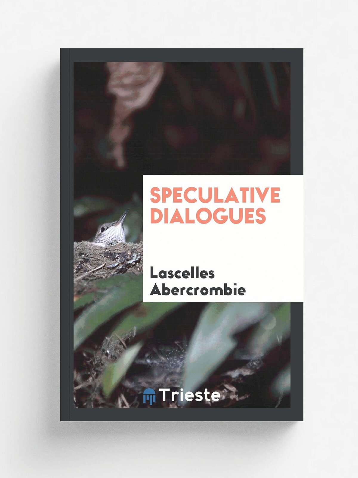 Speculative dialogues