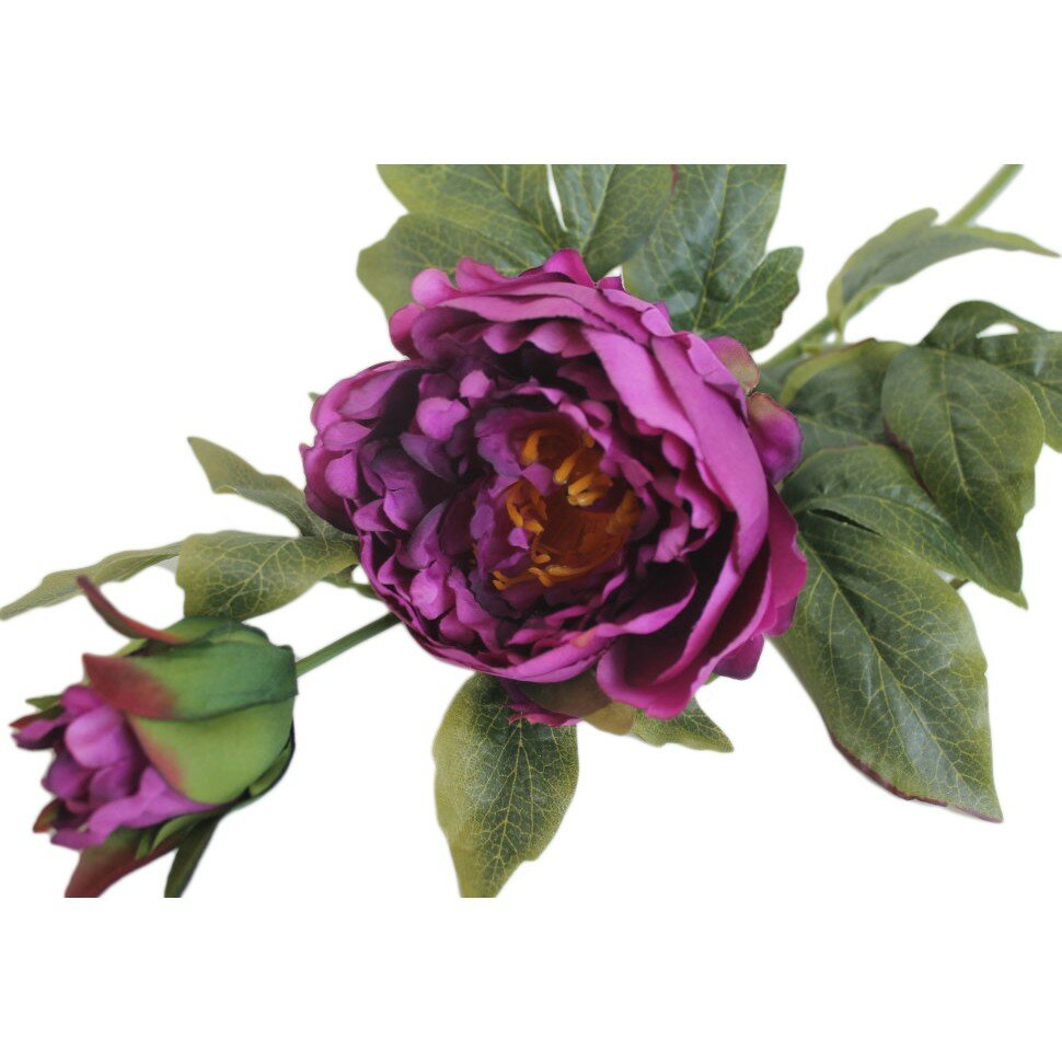 Ароматический диффузор, с палочками, аромат "Белый чай и имбирь" 185 мл — фото 1