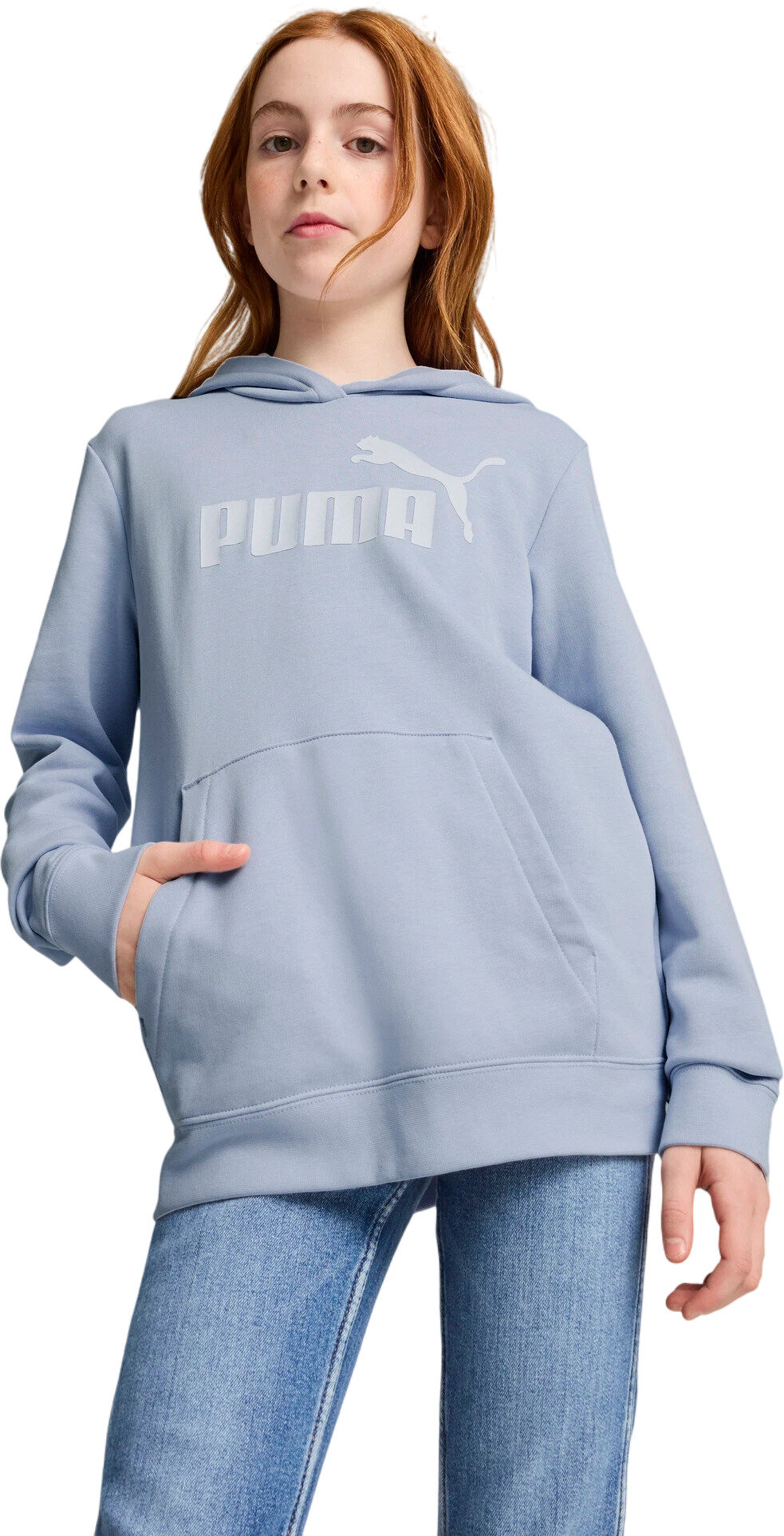 Худи ESS No. 1 Logo Hoodie