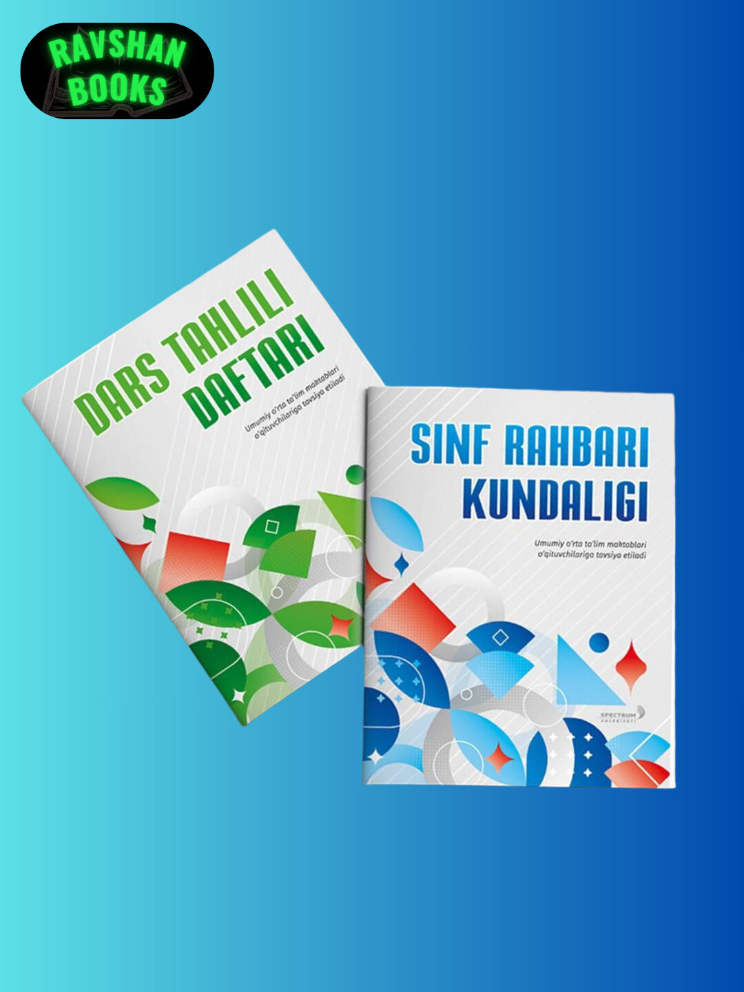 Дневник классного руководителя. Анализ книги