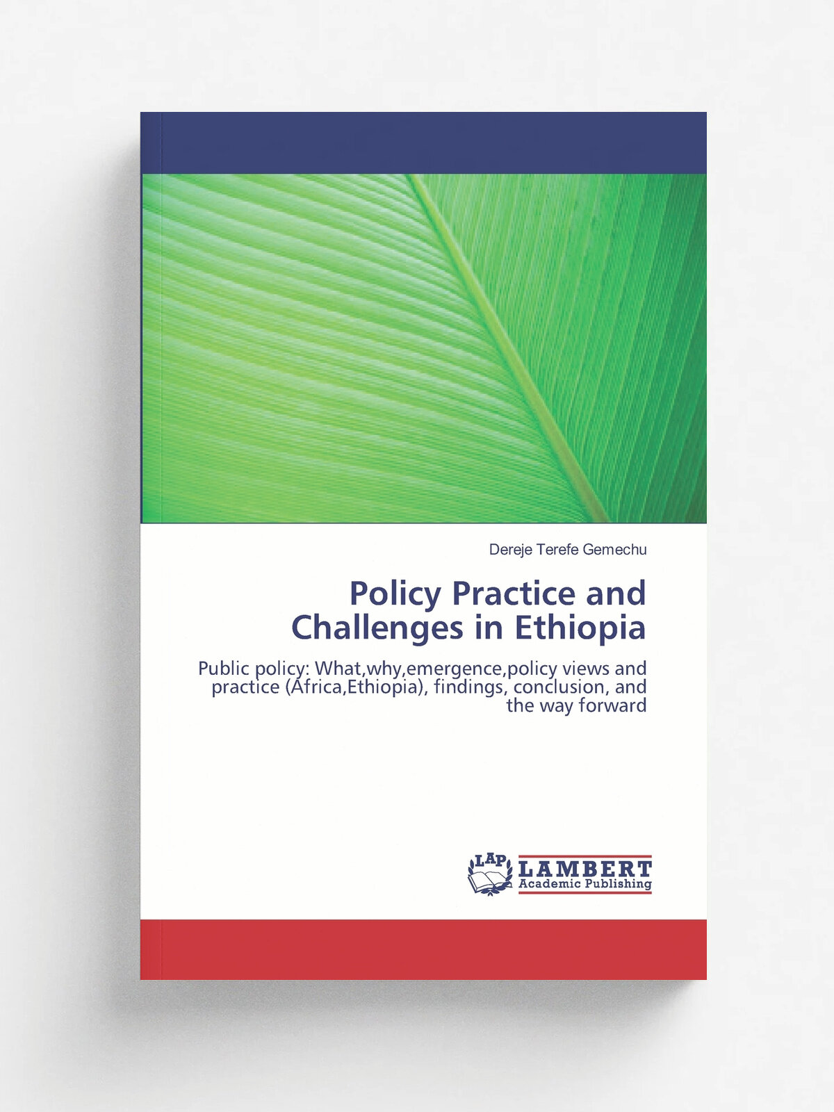 Policy Practice and Challenges in Ethiopia